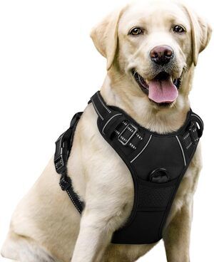 rabbitgoo Dog Harness, No Pull for Large Dogs